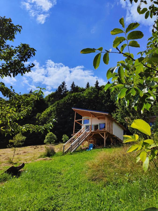 Rainbow Chalet Bran  Eksteriør bilde
