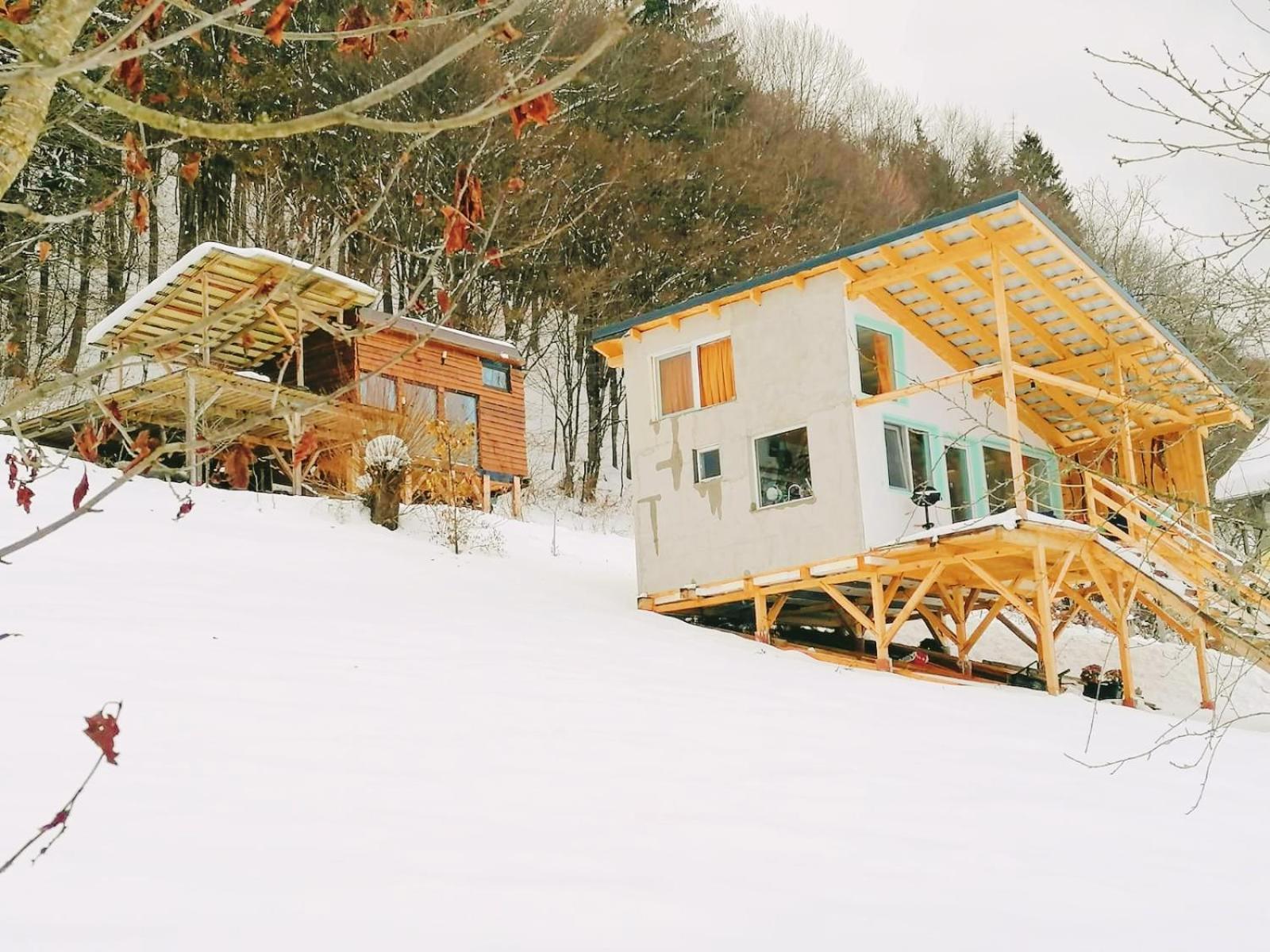 Rainbow Chalet Bran  Eksteriør bilde
