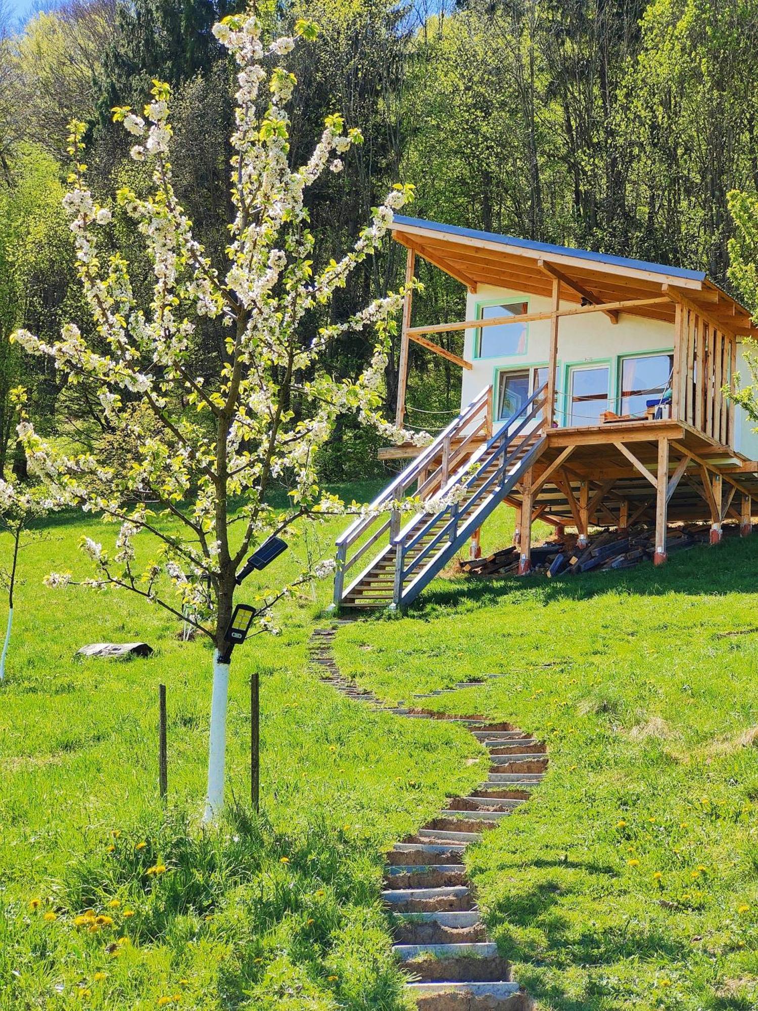 Rainbow Chalet Bran  Eksteriør bilde